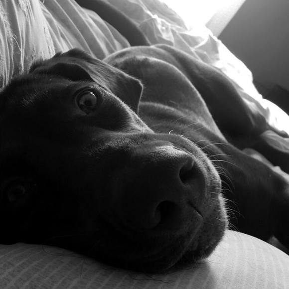 Meet your Posher, Whitney - Picture 1 of 1